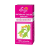Olejek gożdzikowy 10 ml Etja