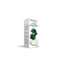 Tinctura Ginkgo Bilobae 930 mg/ml, 100 ml