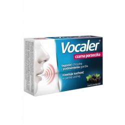 Vocaler czarna porzeczka,...