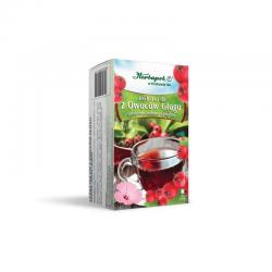 Herbatka fix z owoców...