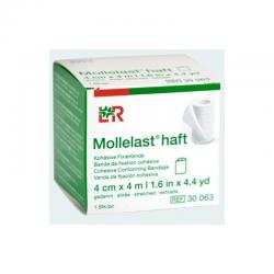 Lohmann & Rauscher...