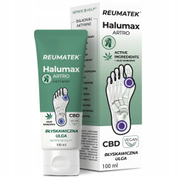 Botanic Help Reumatek Halumax Artro, maść, 100 ml