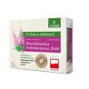 WIERZBOWNICA DROBNOKWIATOWA FORTE,60 tabletek
