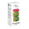 Cynacholin, płyn doustny, 100 ml