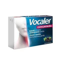 VOCALER czarna porzeczka,...