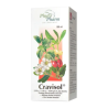 Cravisol, płyn, 100 ml