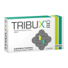 Tribux Bio, 100 mg, tabletki, 10 sztuk