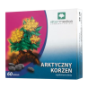 Arktyczny korzeń, tabletki, 60 sztuk