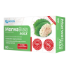 Morwa Biała MAX, tabletki, 60 sztuk