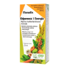 Floradix Odporność i Energia płyn, 250 ml