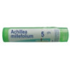 Boiron Achillea millefolium 9CH granulki, 4g