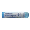 Boiron Solanum malacoxylon 9 CH granulki, 4g